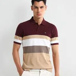 Men Striped Regular Fit Cotton Polo T-Shirt-image-40