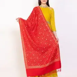 vh Women Woven Stole with Fringes-picture-31