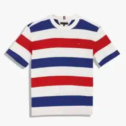 tommy hilfiger Boys Striped Regular Fit Round-Neck T-Shirt-picture-11