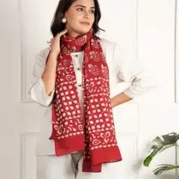 style shoes  Women Cotton Printed Stoles-picture-34