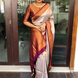 Moda Rapido Woven Design Zari Art Silk Handloom Banarasi Saree-picture-28