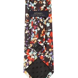 Alvaro Castagnino Men Brown & Multicoloured Printed Skinny Tie image 2