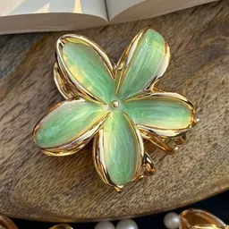 Radhya Accessories Women Set of 2 Claw Clip image 3