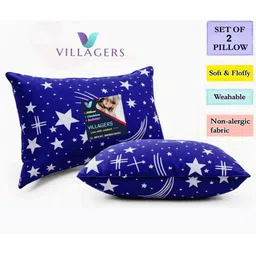 VILLAGERS Set of 2 Blue Polyester Pillows-picture-21