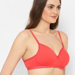 Floret Pack Of 2 Maroon & Red Non Padded Non Wired Plunge Bra image 3