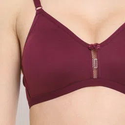 Floret Pack of 2 Medium Coverage Non Padded T-Shirt Bra With All Day Comfort image 3