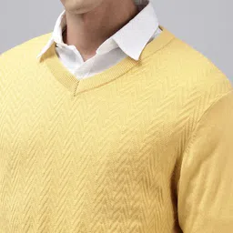 ColorPlus Self Design Textured Pullover Sweater image 3
