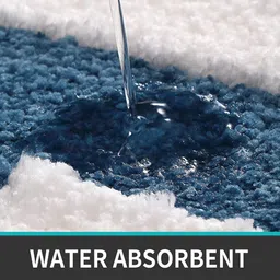 minget Microfiber Door Mat image 3