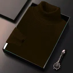 Men Solid High Neck Brown Sweater-image-13