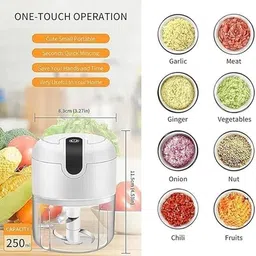 flyest by f l y e s t USB Electric Mini Chopper 250ml for Garlic, Onion, Ginger, Vegetables Electric Vegetable & Fruit Chopper image 5
