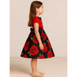 BAESD Embellished Satin A-Line Dress image 3