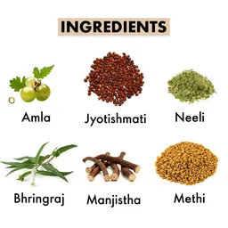 Jivanta Herbal Neelibhringaadi Ayurvedic Hair Oil With Amla & Bhringraj - 100 ml image 2