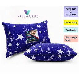 VILLAGERS Set of 2 Blue Polyester Pillows-image-89