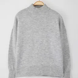 Trendyol High Neck Pullover image 2