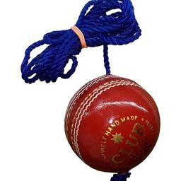 HackerX Printed Leather Cricket Hanging Ball-picture-30