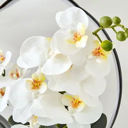 Home Centre White 1 Pieces Orchid Artificial Flower With Pot image 2