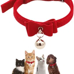 hasthip Adjustable Bell Buckle Velvet Neck Strap 33.5 cm Cat Strap Leash-picture-15