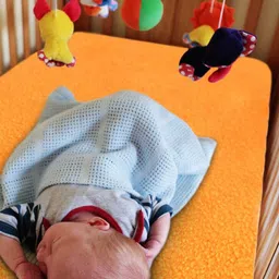 OyO Baby Infants 2-Pieces Solid Waterproof Mattress Protector image 5