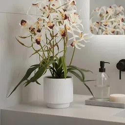 AARVI DECOR STUDIO White & Green Orchid Artificial Flower With Pot image 5