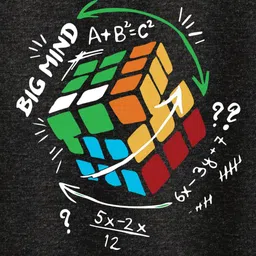 BAESD Boys Pack of 2 Graphic Printed Round Neck T-shirts image 4