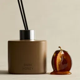 H&M Reed Diffusers-picture-31