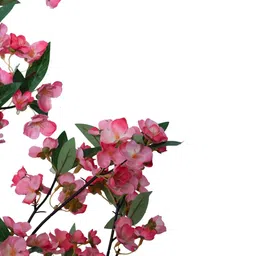 Elemntl Pink Core image 2