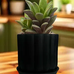 LASAKI Flona Black Ceramic Handmade Planter With Plate image 3