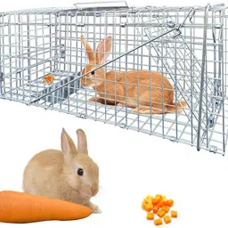 hasthip Live Animal Cage Trap, One-Door Animal Trap forRabbits, Stray Cat, Squirrel Live Trap image 1