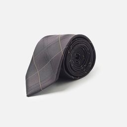 Allen Solly Men Check Formal Skinny Tie-picture-1