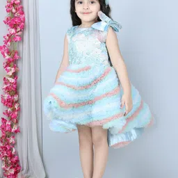 The Lush Affair Floral Print Net A-Line Dress image 3