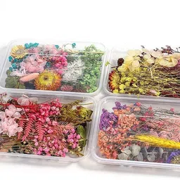 bolt bee Natural Dried Flowers Mix Multicolor Eucalyptus Artificial Flower with Pot-picture-29
