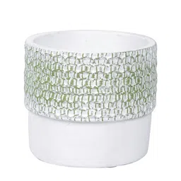 TAYHAA White & Green Textured Ceramic Planter image 3