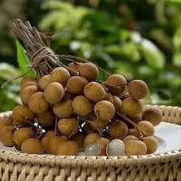 aquinnah Litchi Plant image 4
