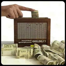 kvr craft Money saving bank for kinds 492-M1 Coin Bank-picture-30