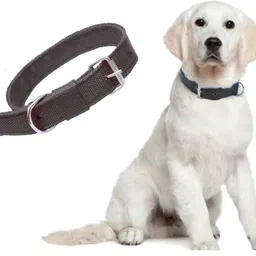 alcazar Nylon Dog Collar With Adjustable Neck Size (Recommended for 24-35KG Pet) Dog Everyday Collar image 3