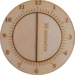 ecosmartlearn Ecosmart Time Machine image 2