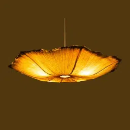 oorjaa Oyster Mushroom (Small) Stainless Steel & Banana Fibre Pendant Hanging Light-picture-38