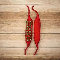 bhakti shringar Bharatanatyam, Kathak, Chhau, Kathakali, Kuchipudi, Manipuri, Mohiniyattam, Odissi Ghungroo image 4