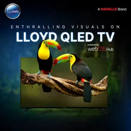 lloyd 109 cm (43 inch) QLED Ultra HD (4K) Smart WebOS TV image 3