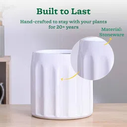 ugaoo Blushing Sun Large White Ceramic Planter image 3