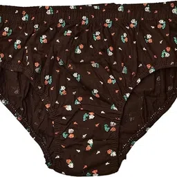 culotte Pack of 6 Women Hipster Multicolor Panty image 2