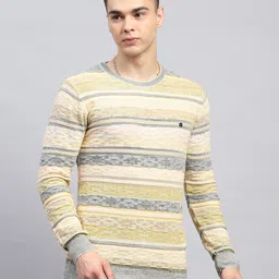 monte carlo Men Striped Round Neck Green Sweater-picture-12