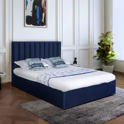 casacraft from pepperfry Paloma Velvet Upholstered Queen Sized Bed in Royal Blue Colour with Hydrualic Storage image 1