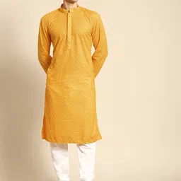 RAJUBHAI HARGOVINDAS Ethnic Motifs Embroidered Thread Work Pure Cotton Chikankari Kurta-picture-25