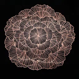 Dakshya Industries Copper 2-Pieces Round Table Placemats image 4