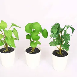 arick decor Pack of 3 Artificial Tabletops Potted Succulent Plants image 4