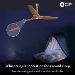 orient electric Aeroquiet BLDC with 5 Year Warranty BLDC Motor with Remote 1200 mm Ceiling Fan image 5