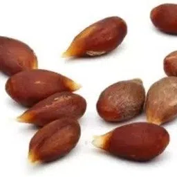 aro Apple Seed image 4