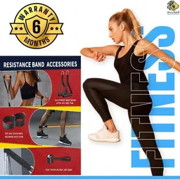 pro365 Resistance Bands Kit for Strength and Flexibility for Home Gym Workout Resistance Tube image 2