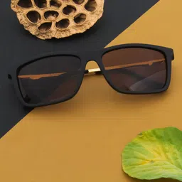 Ted Smith Unisex Brown Lens & Black Wayfarer UV Protected Lens Sunglasses image 5